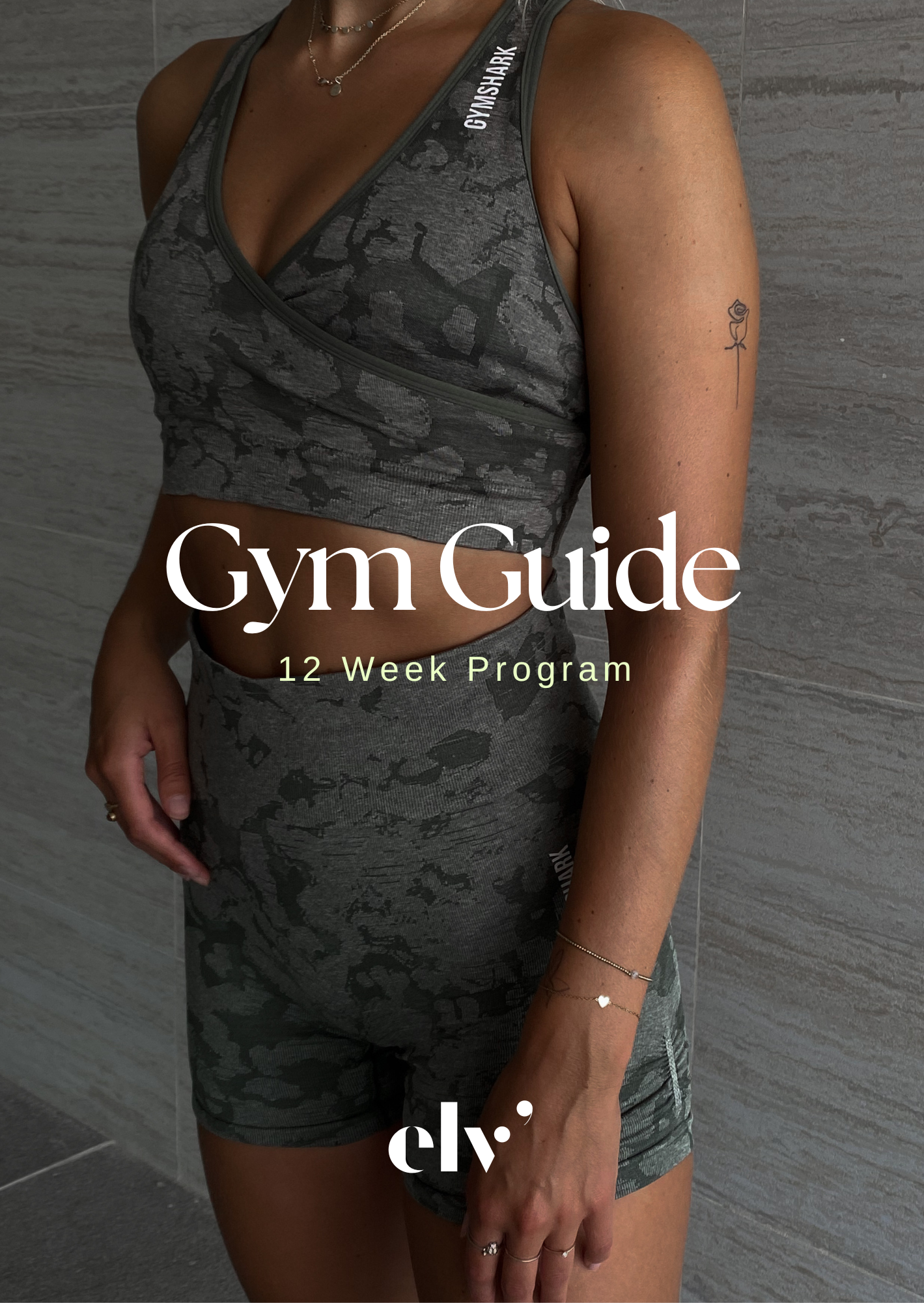 12 Week Gym Program